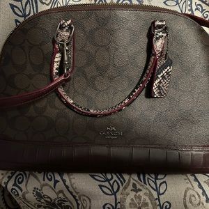 Coach Dark Brown & Maroon snake skin design